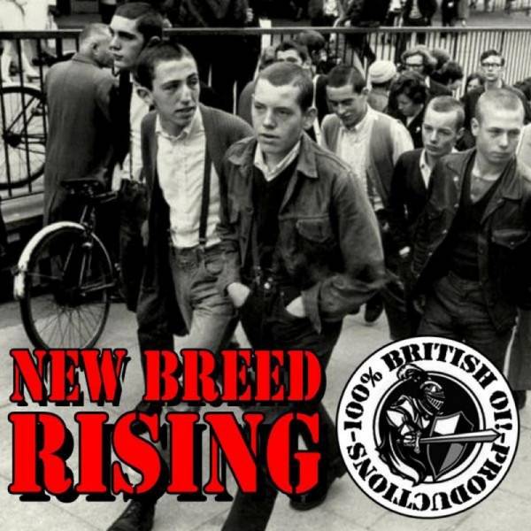 V/A New Breed Rising, CD